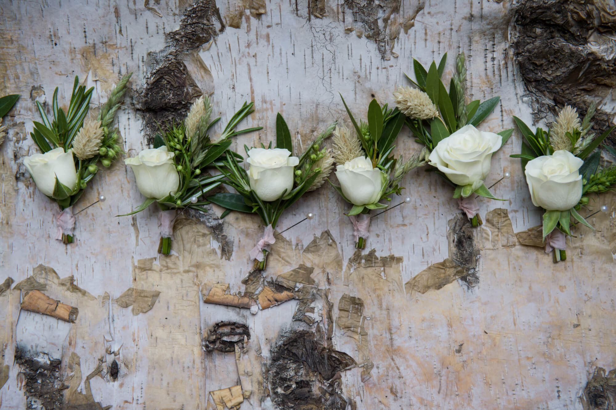 grooms button holes with roses and rosemary at merriscourt barn