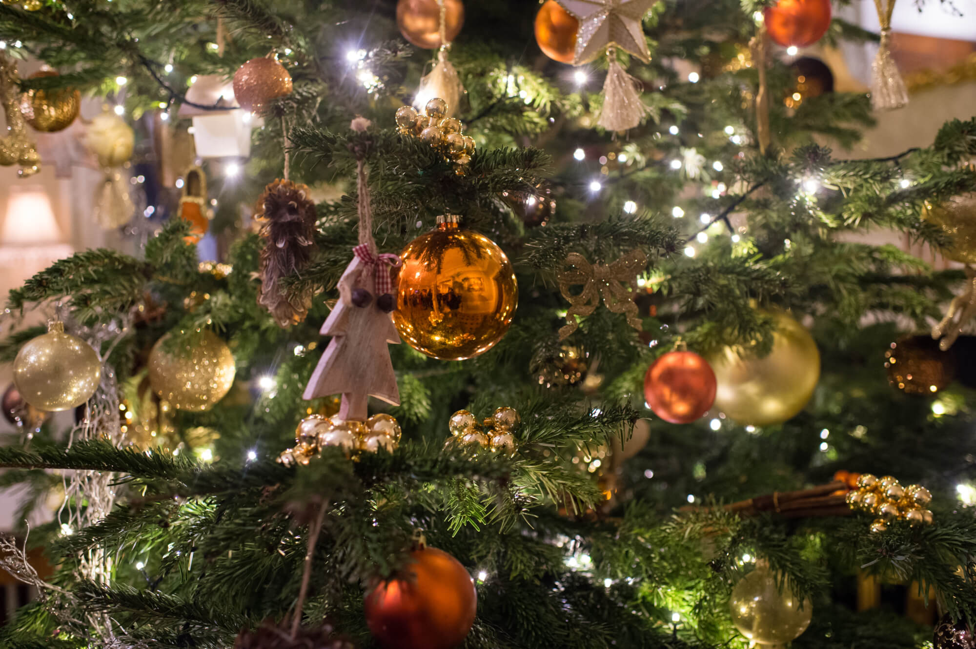 A close up shot of a Christmas tree at Hedsor House