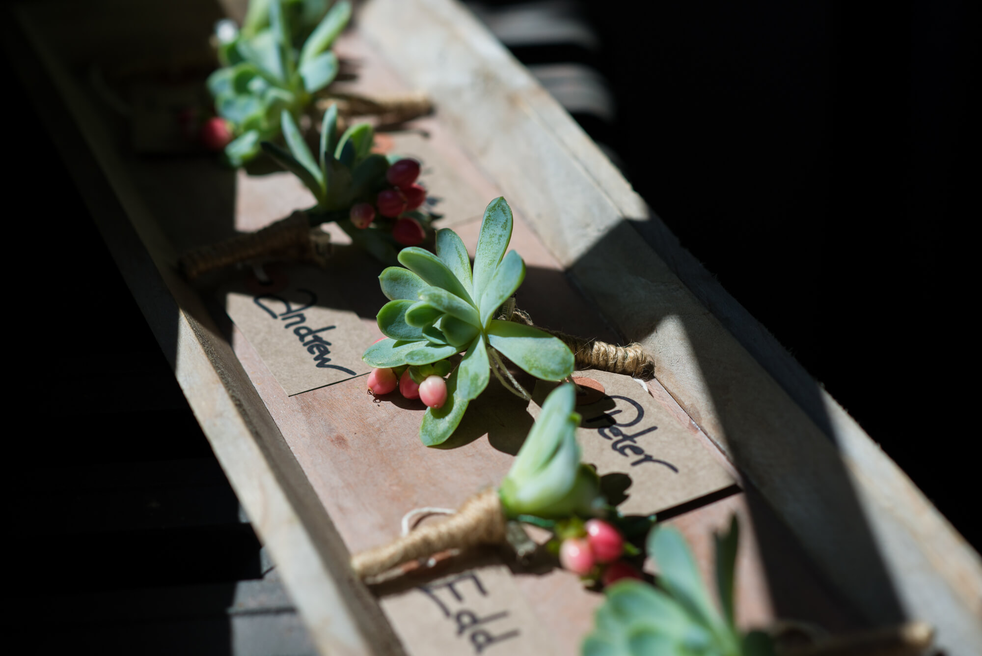 succulent button holes in beautiful sunshine